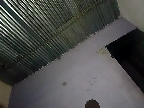 xandra252 webcam