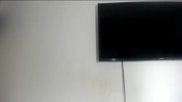 Fox_Loves