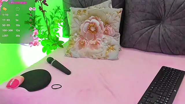 NayeCloud webcam