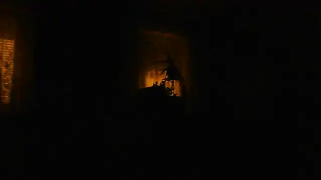 Geiler668 webcam
