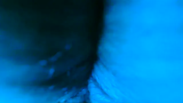 SatiroyNinfa webcam
