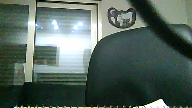 SirFrankonde webcam