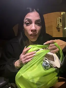 Kattefit