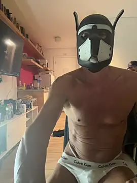 Reginaldothedog webcam