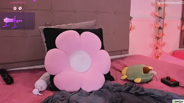 amandalee01 webcam