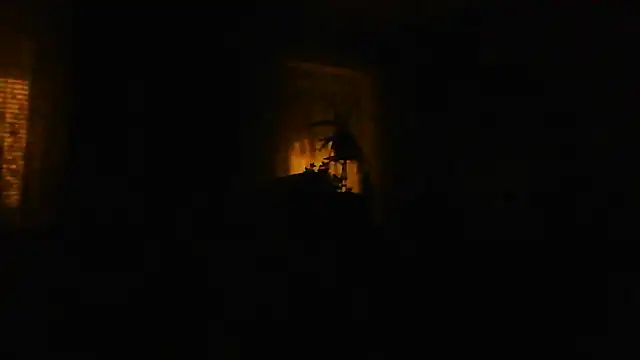 Geiler668 webcam