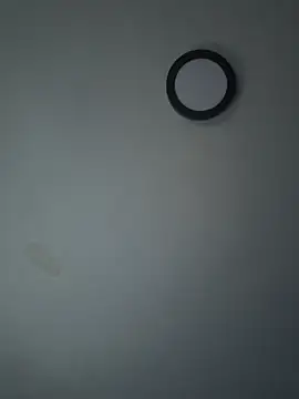 stevo170t webcam
