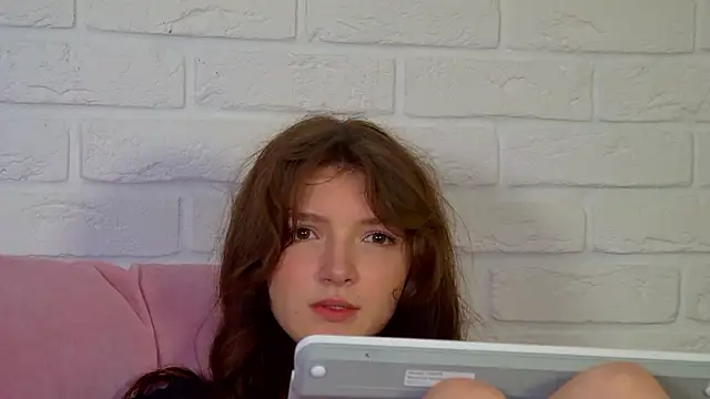 SophiaProve webcam