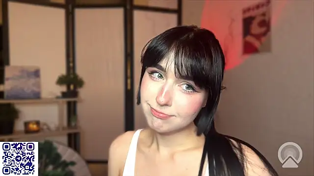 secrettape webcam