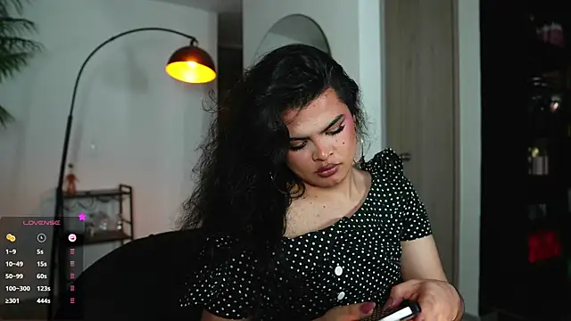 artechloe webcam