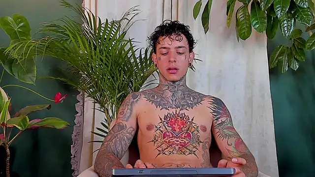 Aron_ford webcam