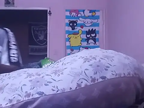 Blkstylion webcam