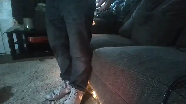 Antoniothedon webcam