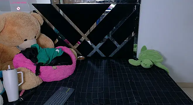 CatalinaSmith1 webcam