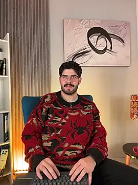 DomBoy_ webcam