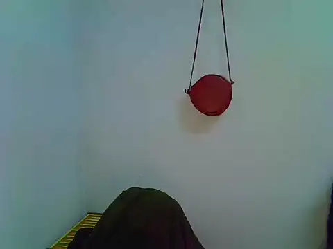 -GINN- webcam