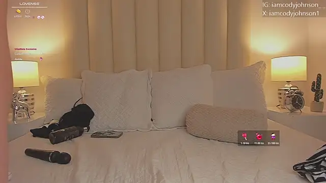 the_little_cody webcam
