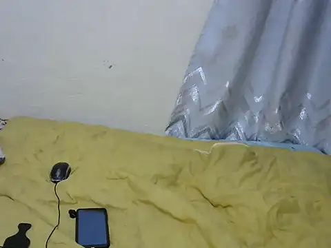 playfullnova webcam