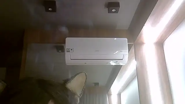 SkinnyKitten webcam