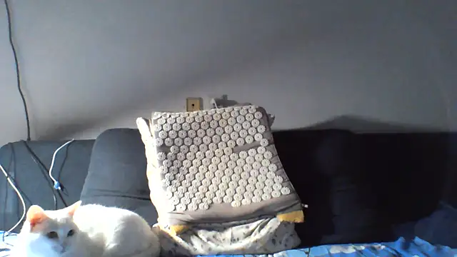 KaelNox webcam