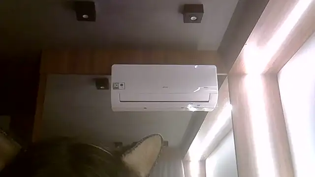 SkinnyKitten webcam