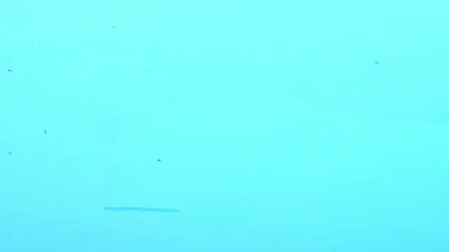 LiamDeep webcam