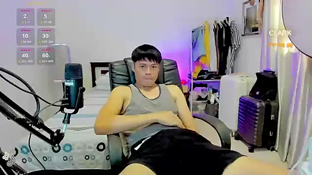clarkdangerous webcam