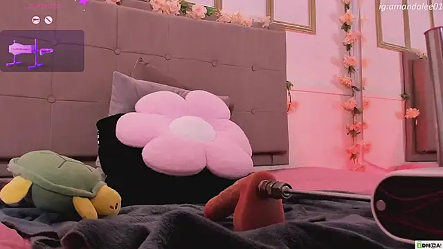 amandalee01 webcam
