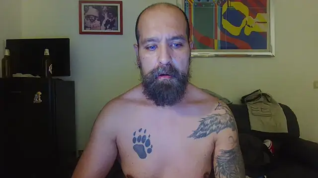 AMIRDIB2025 webcam