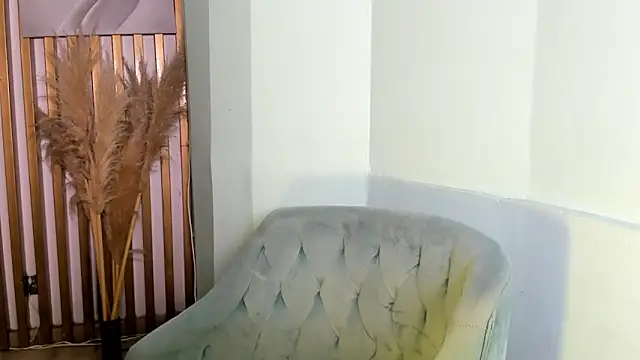 AndyWiilliams webcam