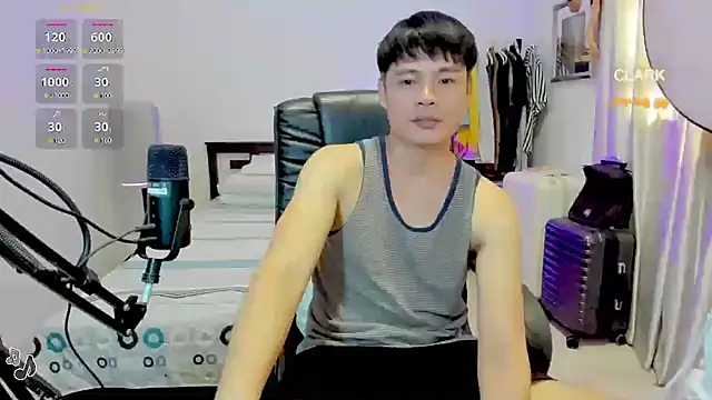 clarkdangerous webcam