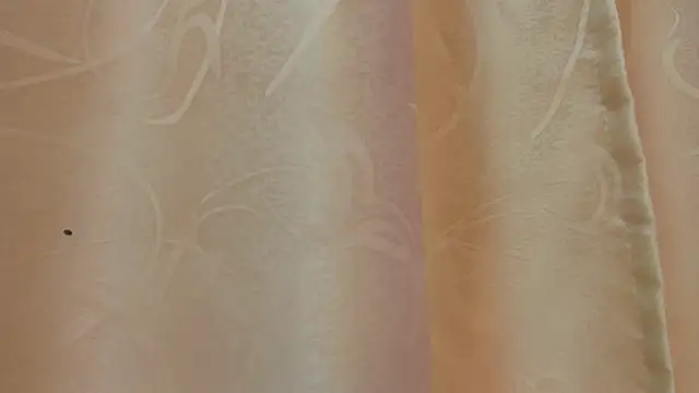 Zasha_nm webcam