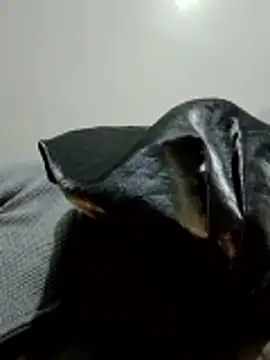 Maridadie webcam