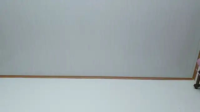 Carolina_Bloom webcam