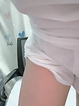Ariana-Vy webcam