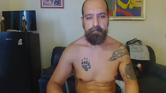 AMIRDIB2025 webcam