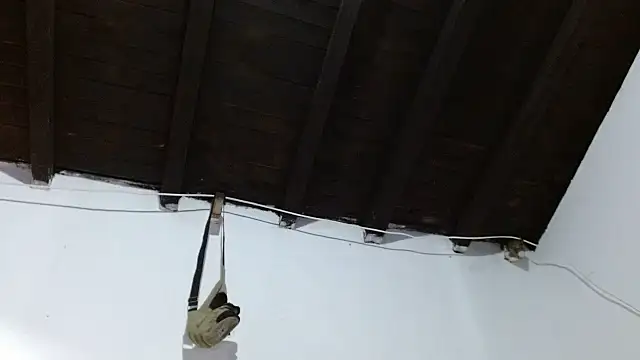 sk8-sir webcam
