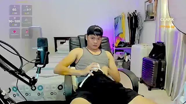 clarkdangerous webcam