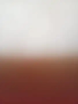 tatingordin webcam
