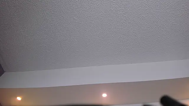 Gaia_n_Nix webcam