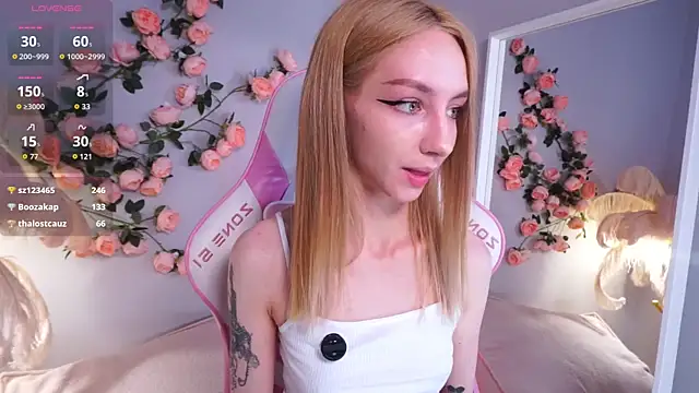 Melrose_ webcam