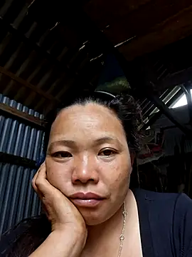 Bini-ll webcam