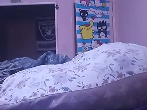 Blkstylion webcam