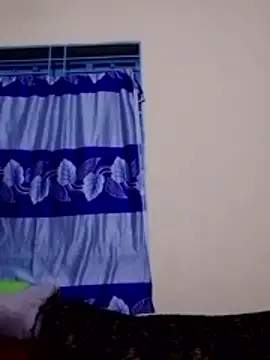 Ripa- webcam