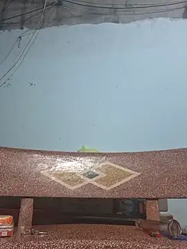 Queen-18200 webcam