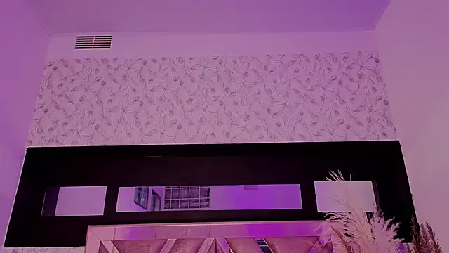 pixy_20 webcam