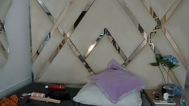 arixht webcam
