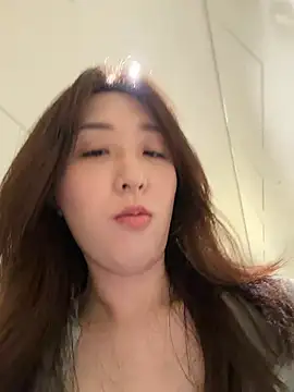 KK-328 webcam