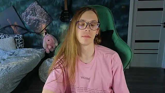 artass2 webcam