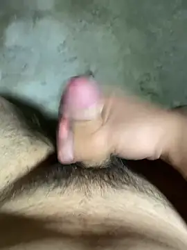 FeedSind webcam